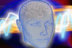 Curso online grátis de Introdução à Neuroanatomia