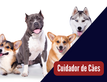 Curso online grátis de Cuidador de Cães