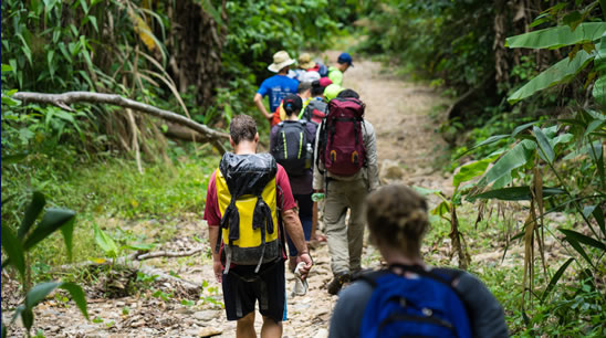 Curso online grátis de Teoria da Sobrevivência na Selva