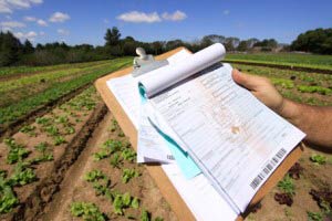 Curso online grátis de Contabilidade no Setor Rural